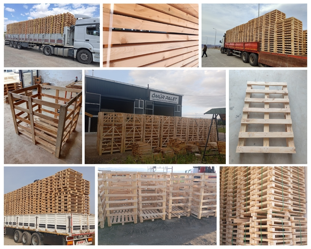 Altamura Palette Europe, Acheter des palettes en gros